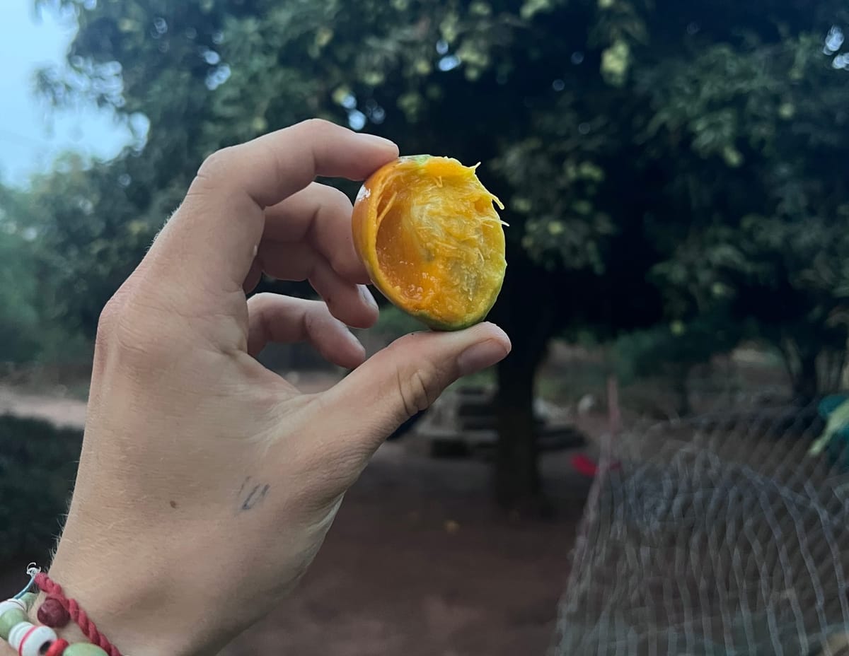 Ein Tag aus der Menge