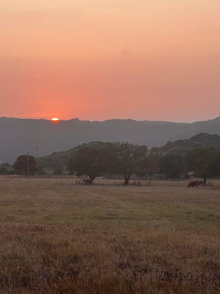 Erlebnisdichtung auf Sardinien